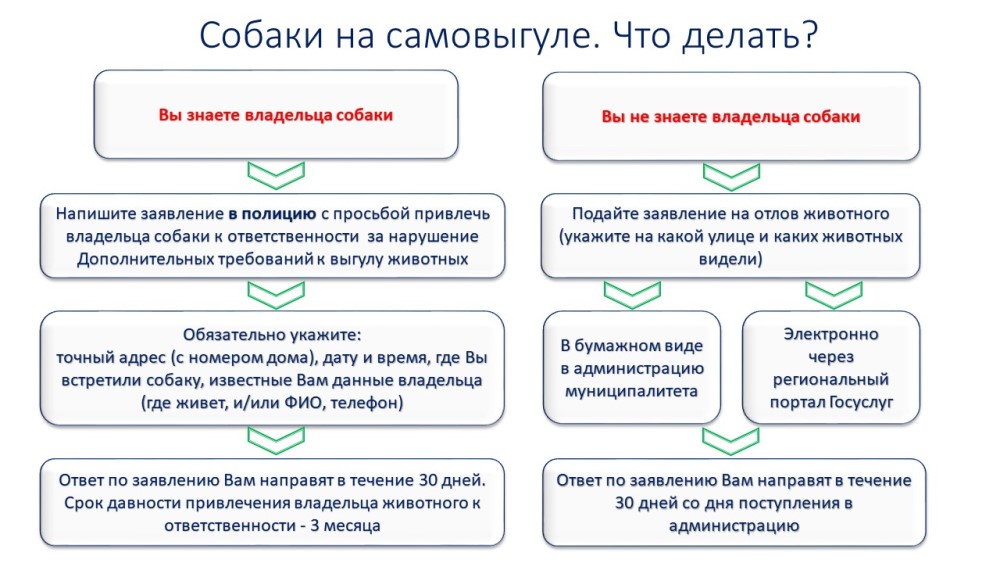 Информация.